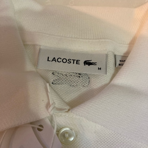 Rare lacoste Iguana save our species - Picture 3 of 10